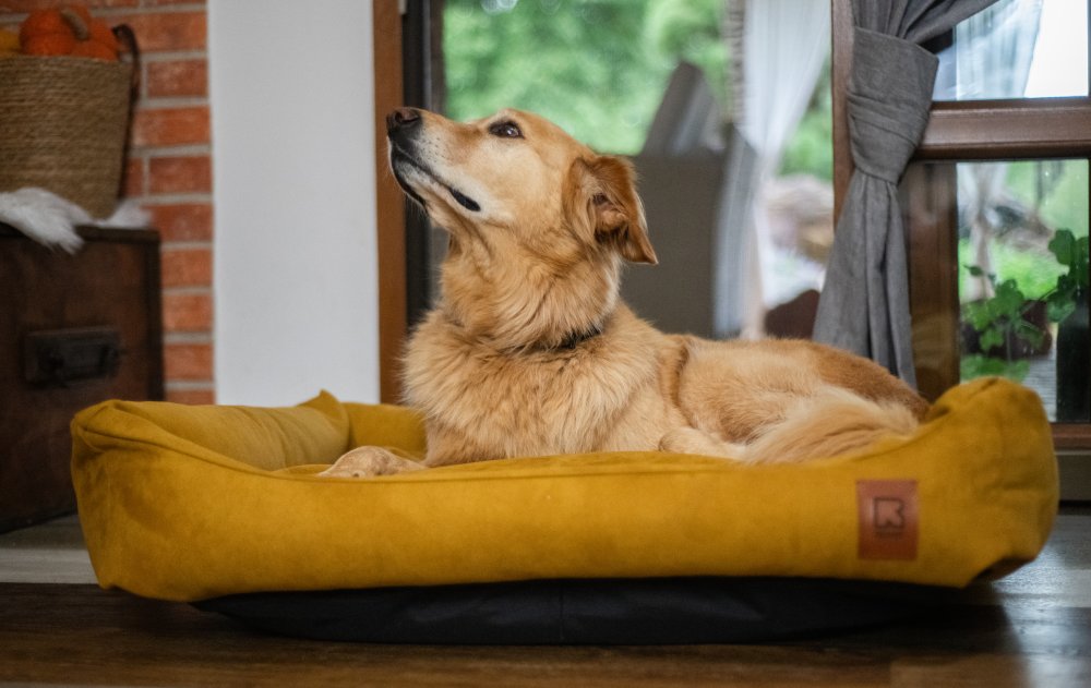 Redant - pelíšek s paměťovou pěnou