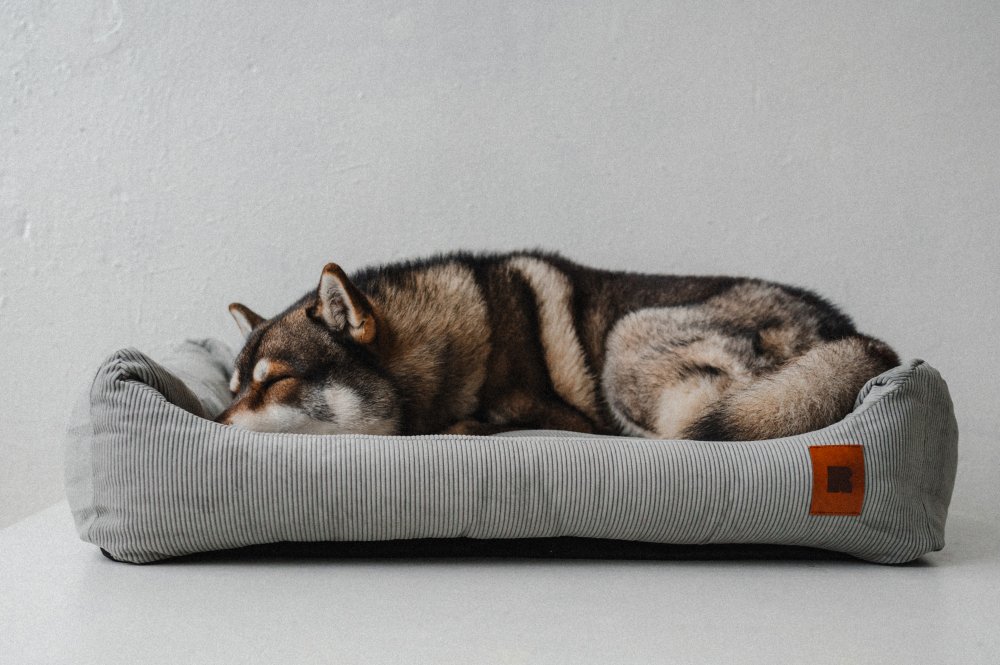 REDANT - psí pelíšek na celý život