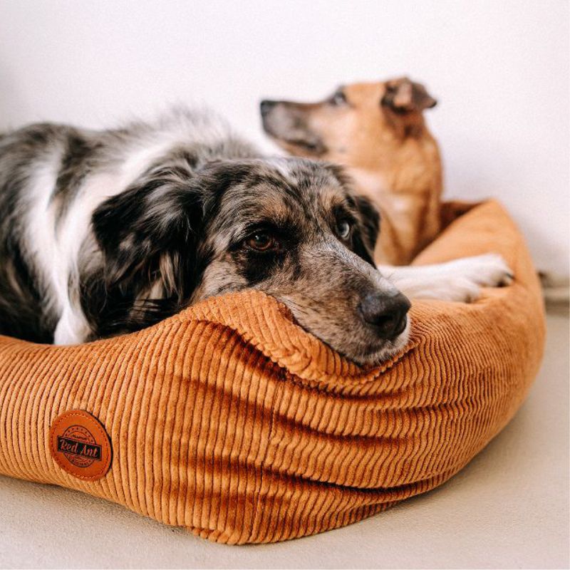 REDANT menčestrový dog bed CORD koňakový - Size: L
