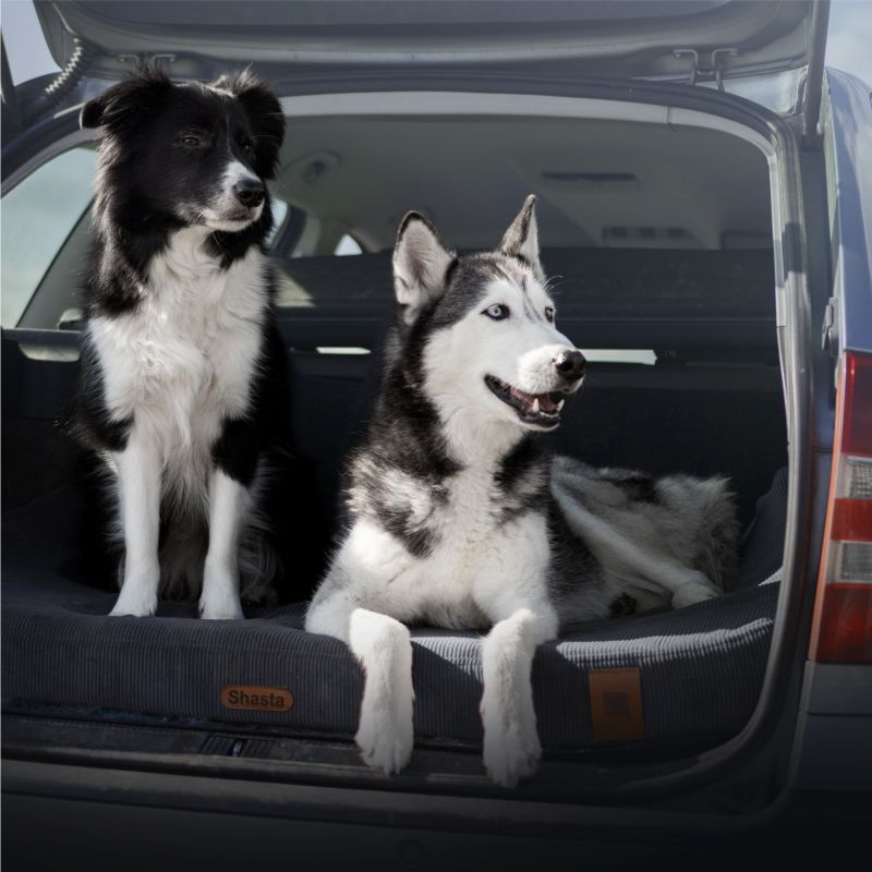 REDANT ortopedický pelíšek pro psa s paměťovou pěnou ORTHOPEDIC CORD antracitový - Velikost: S, Druh matrace: S pamäťovou penou