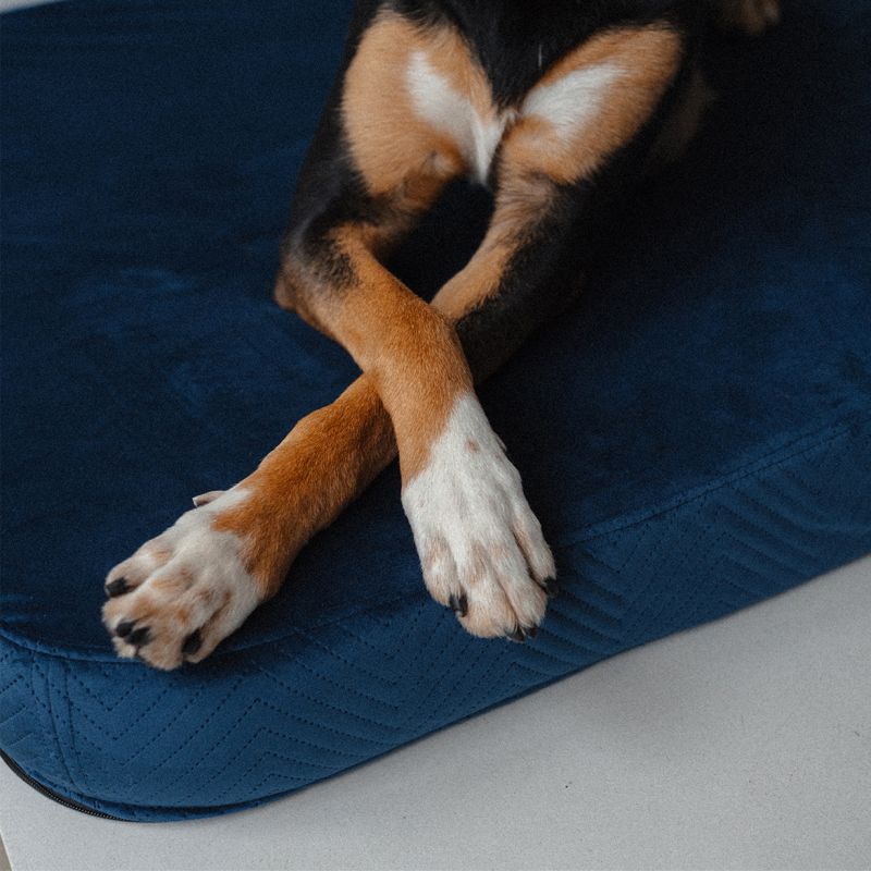 REDANT ortopedický pelíšek pro psa s paměťovou pěnou ORTHOPEDIC VELVET černý - Velikost: M, Druh matrace: S pamäťovou penou