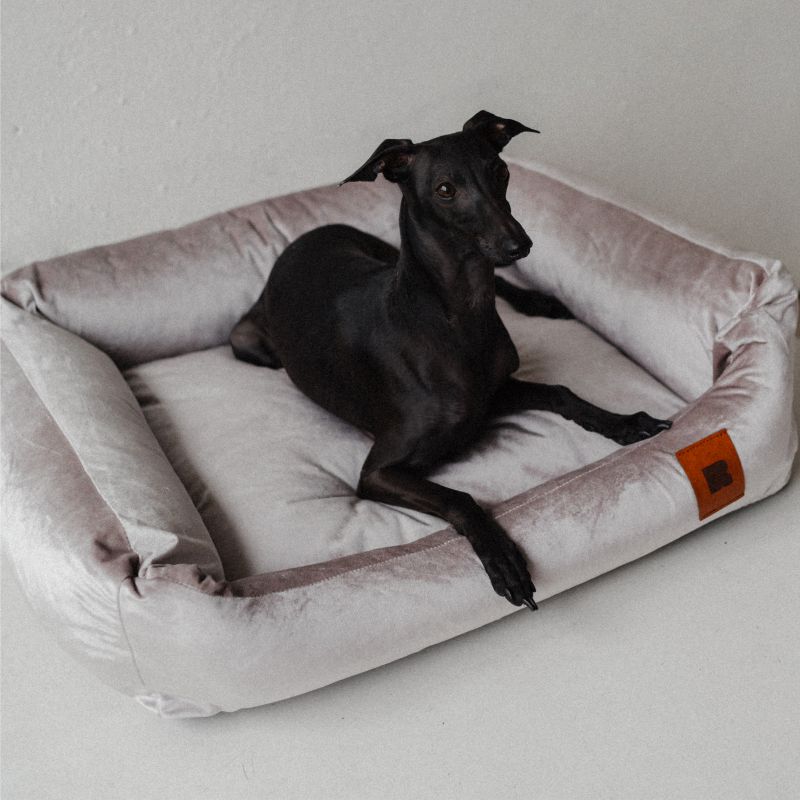 REDANT zamatový dog bed VELVET sivý - Size: M