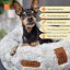 REDANT nook for dogs and cats ŇUŇU gray - Size: S