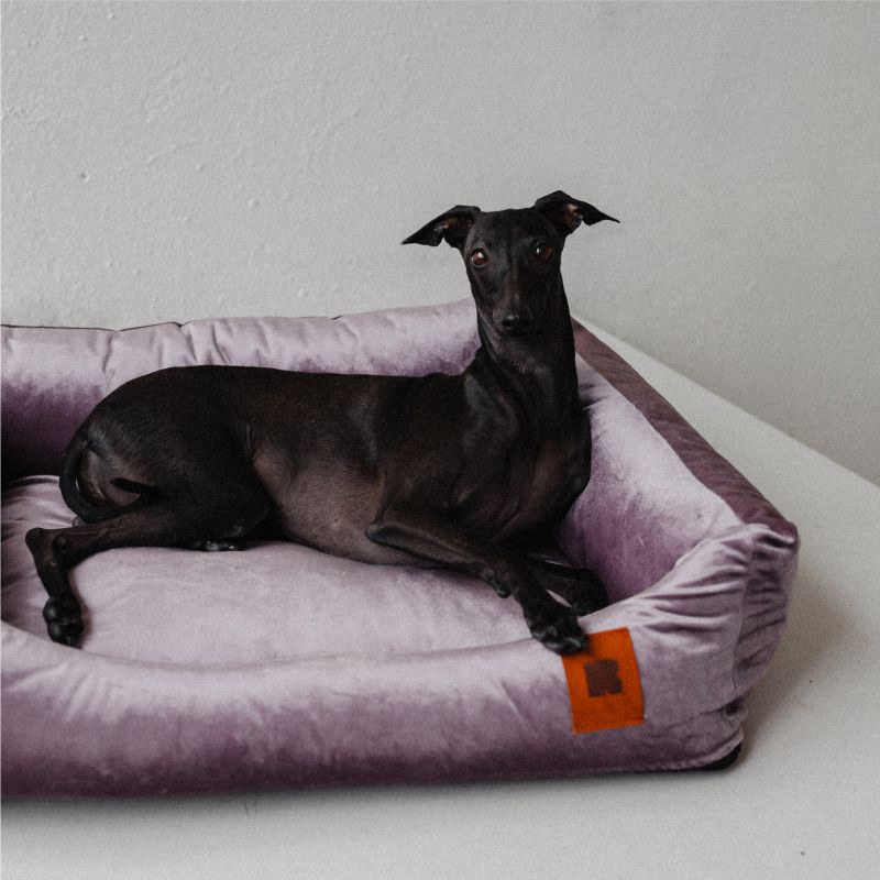 REDANT zamatový dog bed VELVET fialový - Size: S