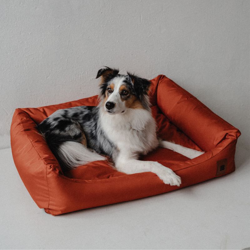 REDANT waterproof dog bed CLASSIC tehlový - Size: XL