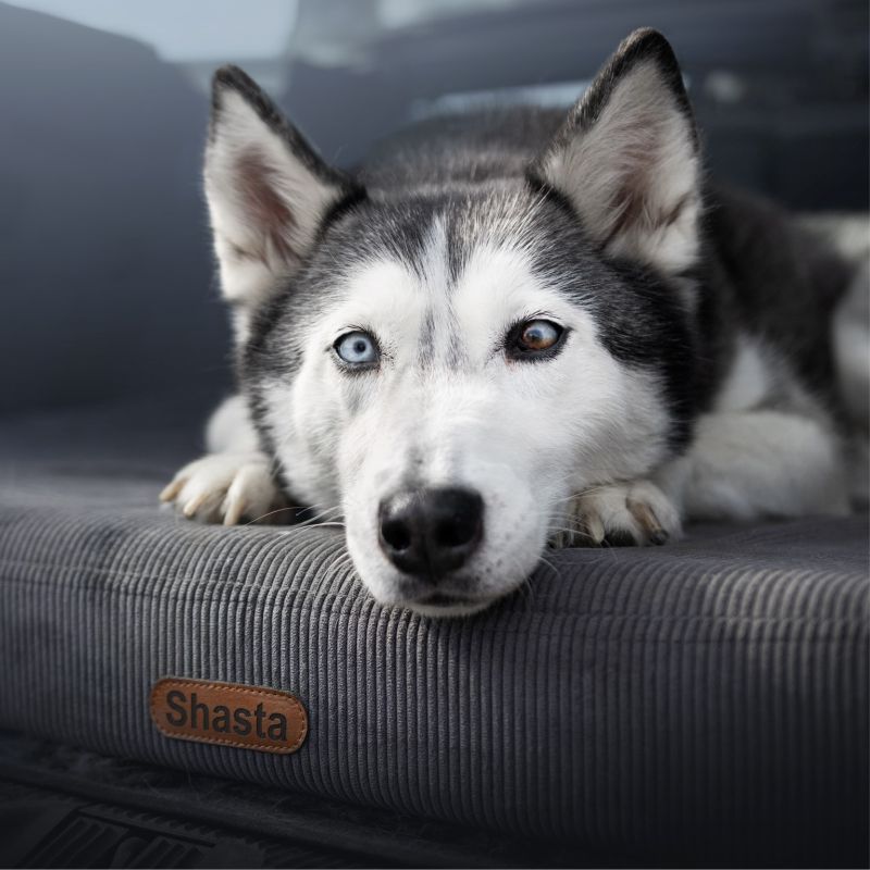 REDANT ortopedický pelíšek pro psa s paměťovou pěnou ORTHOPEDIC CORD antracitový - Velikost: S, Druh matrace: S pamäťovou penou