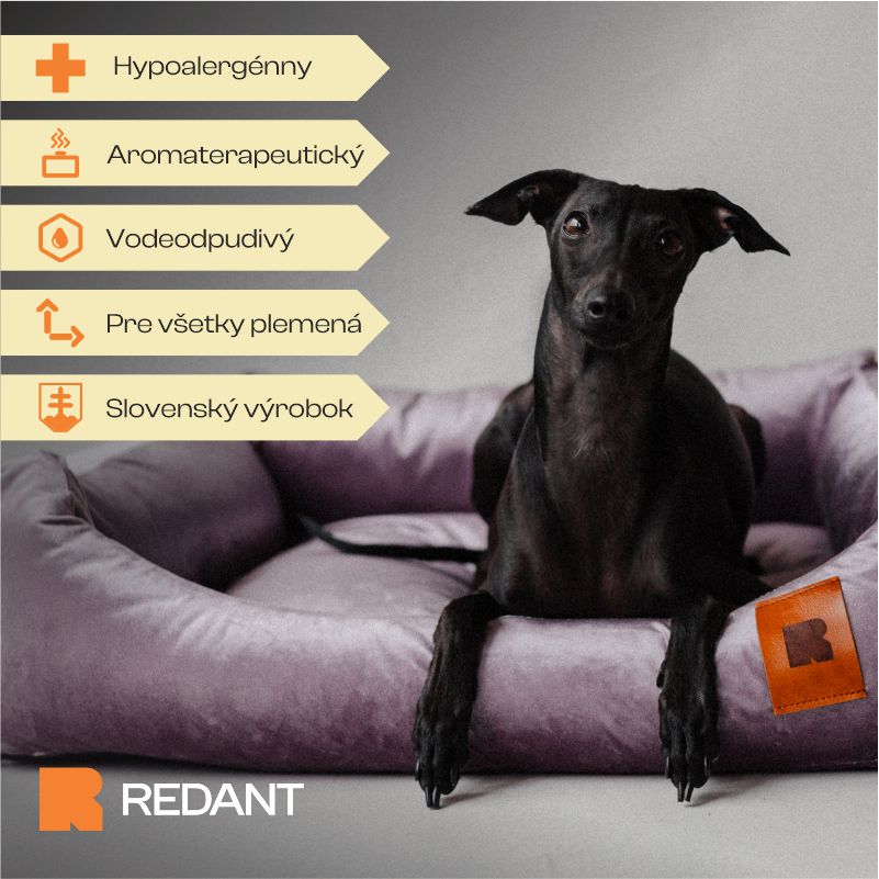 REDANT zamatový dog bed VELVET fialový - Size: S