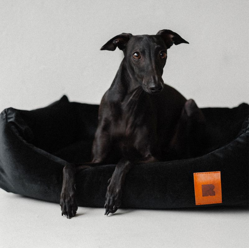 REDANT zamatový dog bed VELVET čierny - Size: S