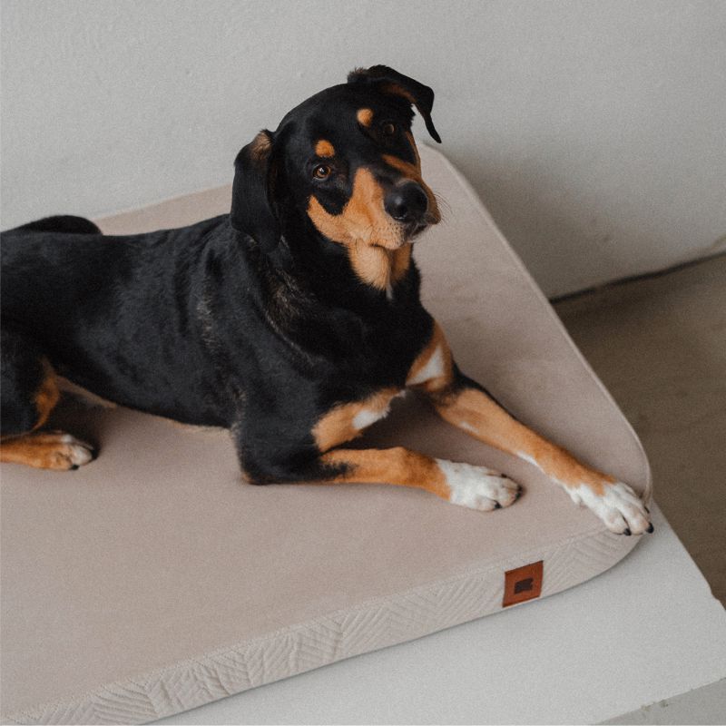 REDANT náhradní povlak na ortopedický pelíšek ORTHOPEDIC VELVET krémový - Velikost: L