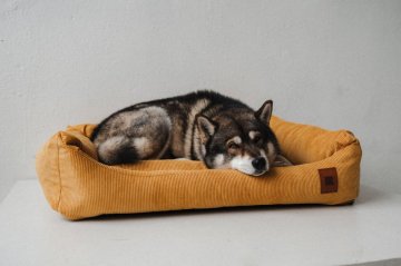 Modulární pelíšky REDANT: Jiný design i lepší matrace kdykoli si přejete