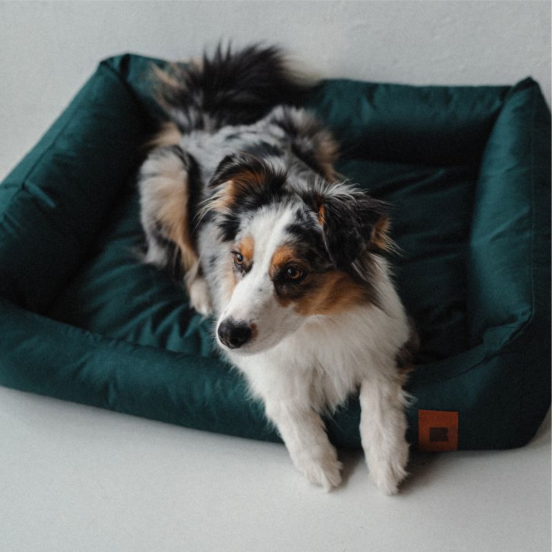 REDANT nepremokavý pelech pre psa CLASSIC zelený - Veľkosť: M