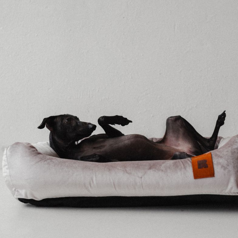 REDANT náhradní potah na pelech VELVET šedý