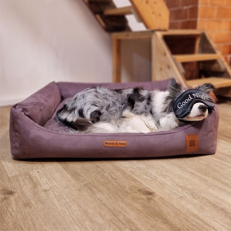 REDANT dog bed with memory foam DELUXE purple - Size: L