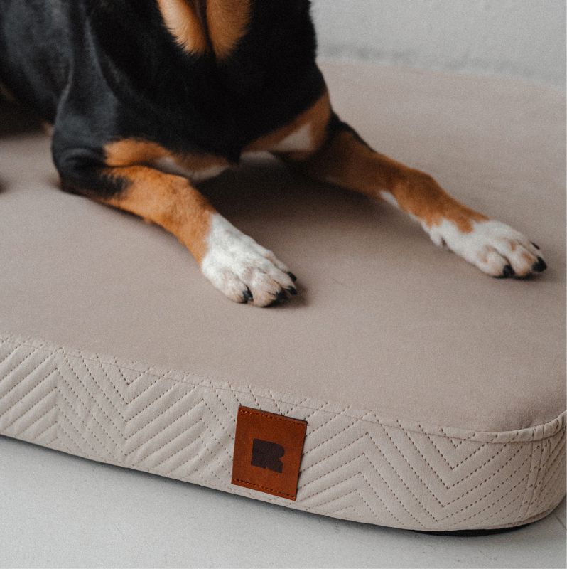 REDANT náhradní povlak na ortopedický pelíšek ORTHOPEDIC VELVET krémový - Velikost: L