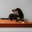 REDANT orthopedic dog bed with memory foam ORTHOPEDIC VELVET cinnamon