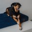 REDANT replacement cover for orthopedic bed ORTHOPEDIC VELVET blue - Size: L