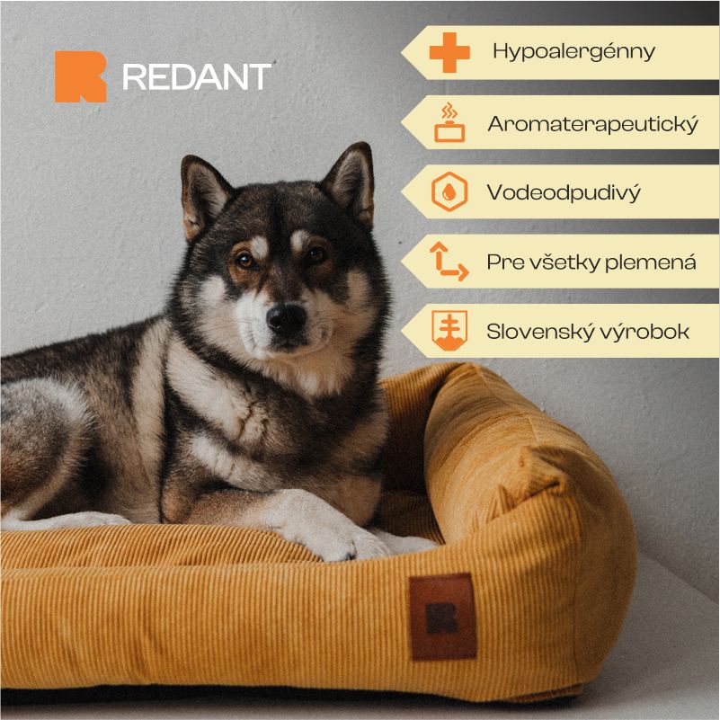 REDANT replacement cover for bed CORD mustard - Size: M