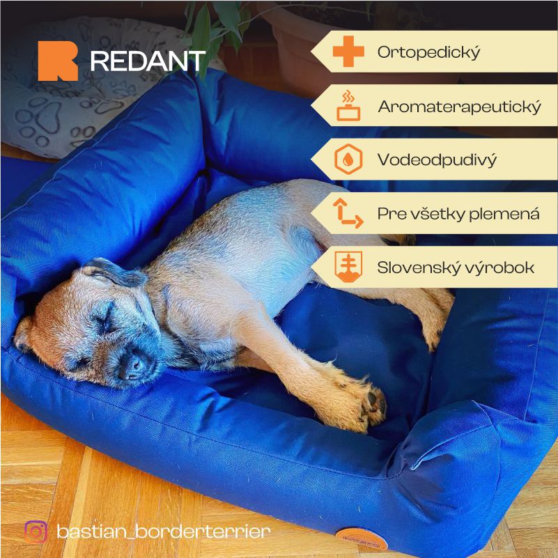 REDANT nepremokavý pelech pre psa CLASSIC modrý