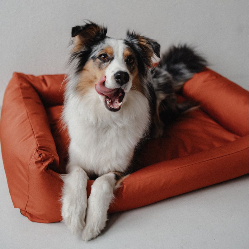 REDANT waterproof dog bed CLASSIC tehlový - Size: XL