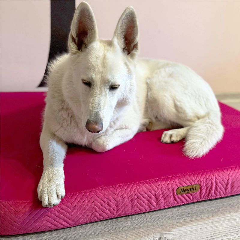 REDANT orthopedic dog bed with memory foam ORTHOPEDIC VELVET cyclamen - Size: S, Type of mattress: S pamäťovou penou
