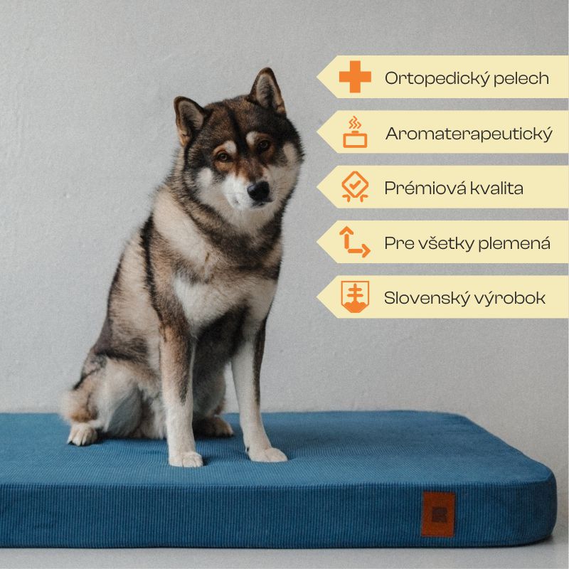 REDANT náhradná obliečka na ortopedický pelech ORTHOPEDIC CORD modrá