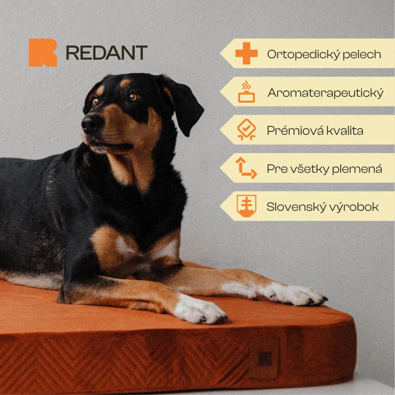 REDANT ortopedický pelech pre psa s pamäťovou penou ORTHOPEDIC VELVET škoricový - Veľkosť: L, Druh matracu: Bez pamäťovej peny
