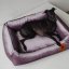 REDANT zamatový dog bed VELVET fialový - Size: S
