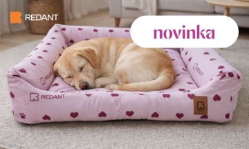 New "LOVE" Dog Beds