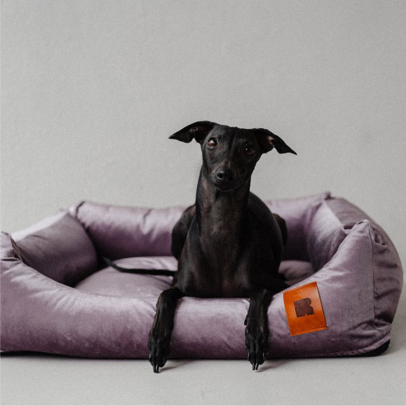 REDANT náhradná obliečka na pelech VELVET bordová - Veľkosť: XL