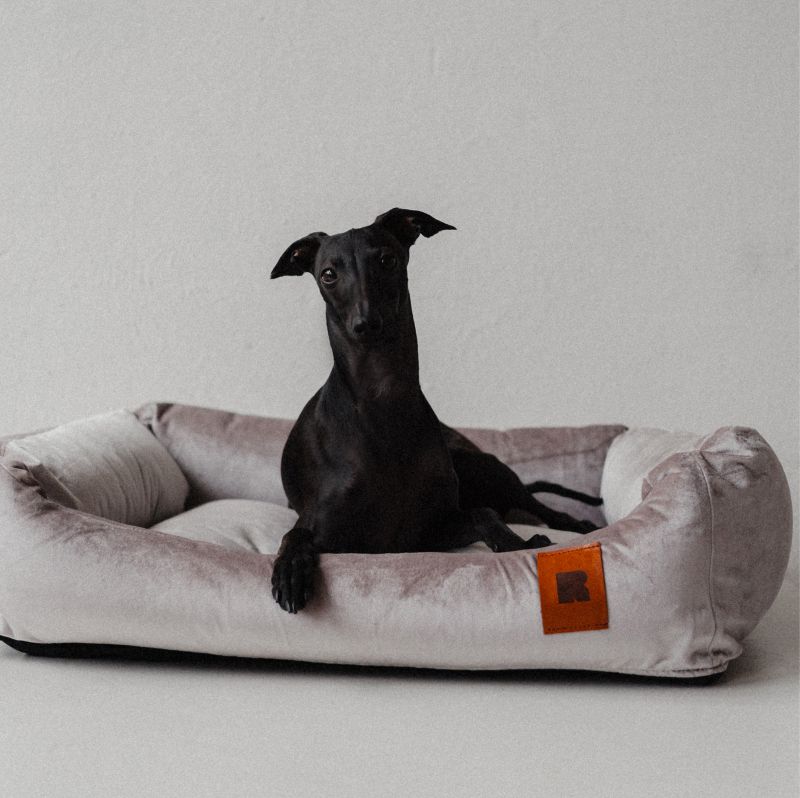 REDANT náhradní potah na pelech VELVET šedý