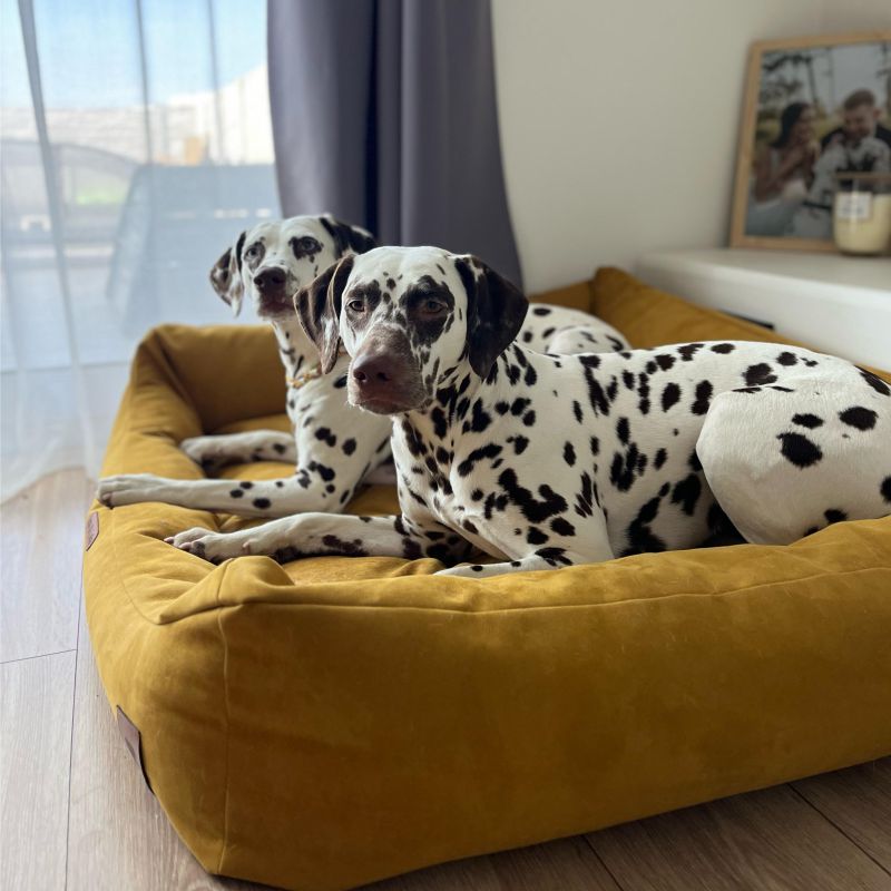 REDANT pelíšek pro psa s paměťovou pěnou DELUXE žlutý - Velikost: M