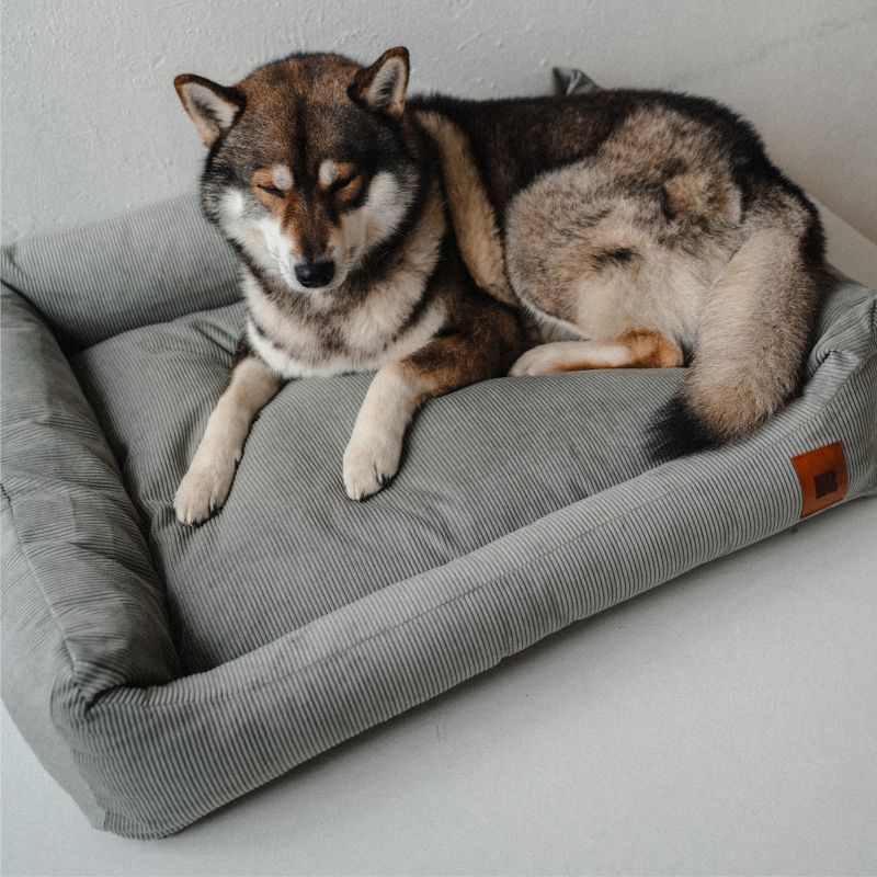 REDANT menčestrový dog bed CORD sivý - Size: S
