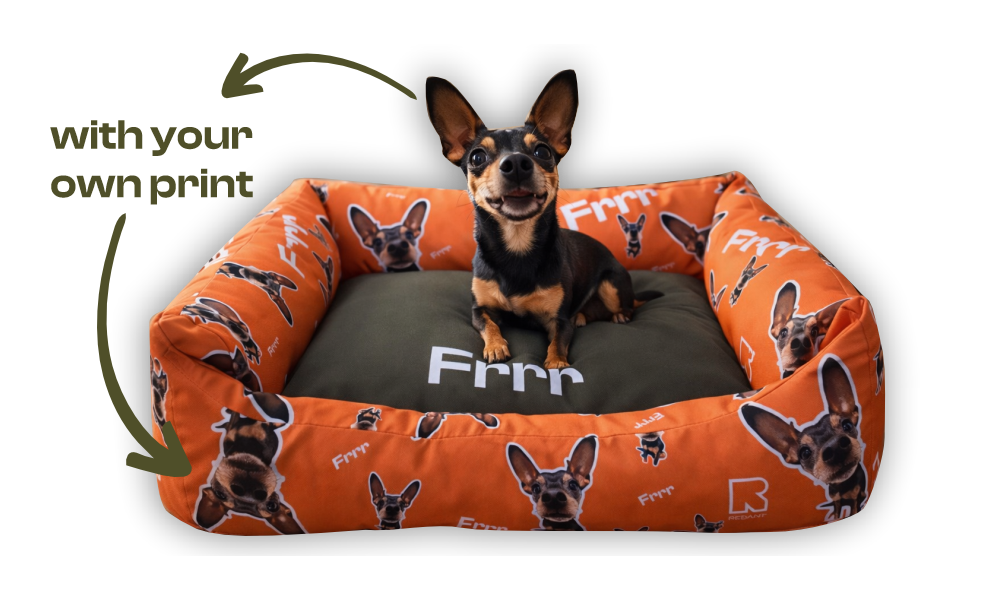 YOUR DOG YOUR RULES!