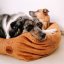 REDANT menčestrový dog bed CORD koňakový - Size: L