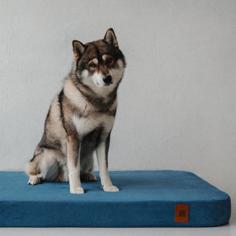 REDANT náhradná obliečka na ortopedický pelech ORTHOPEDIC CORD modrá