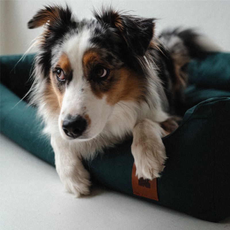 REDANT nepremokavý pelech pre psa CLASSIC zelený - Veľkosť: M