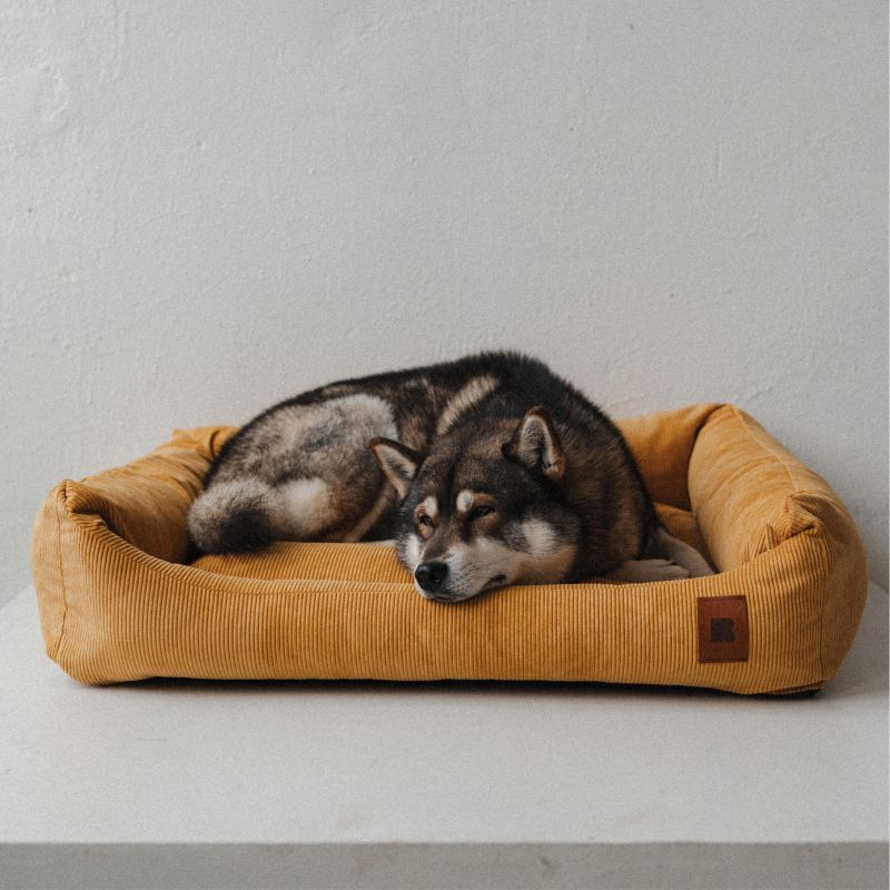 REDANT náhradná obliečka na pelech CORD čierna - Veľkosť: M