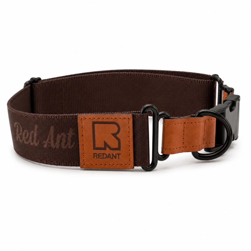 REDANT luxury black dog brown - Size: XL, Version: Collar