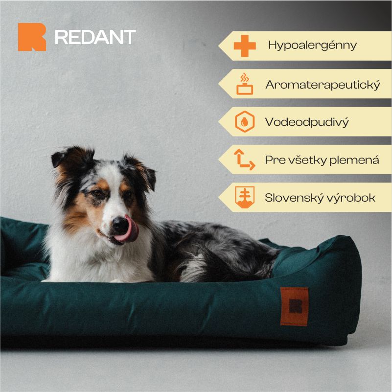 REDANT nepremokavý pelech pre psa CLASSIC zelený - Veľkosť: M