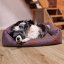 REDANT dog bed with memory foam DELUXE purple - Size: L