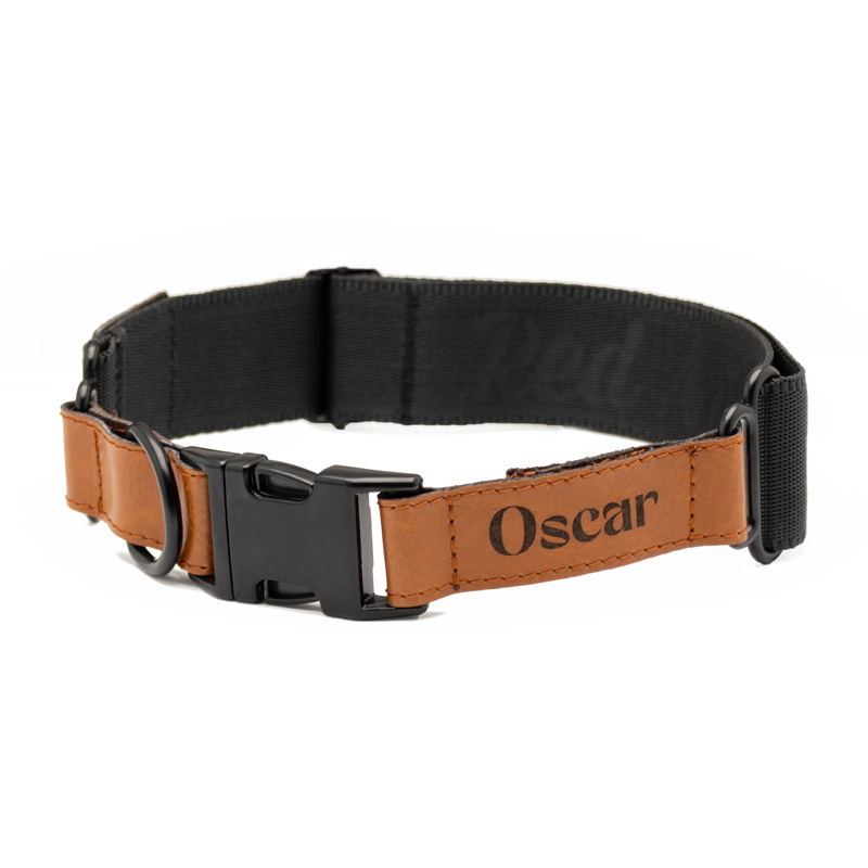REDANT luxury black dog collar - Size: M, Version: Collar
