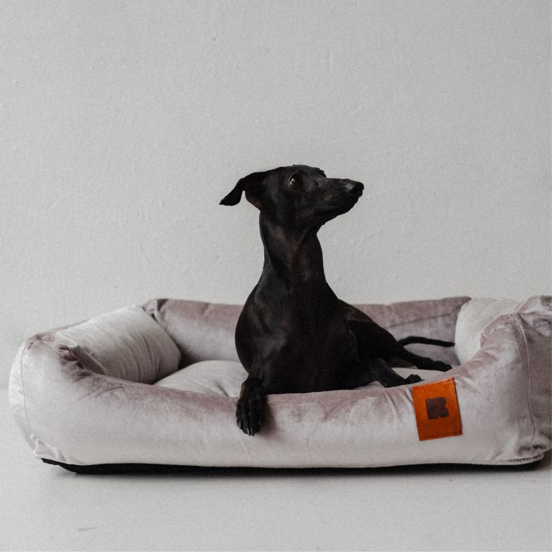 REDANT zamatový dog bed VELVET sivý - Size: M