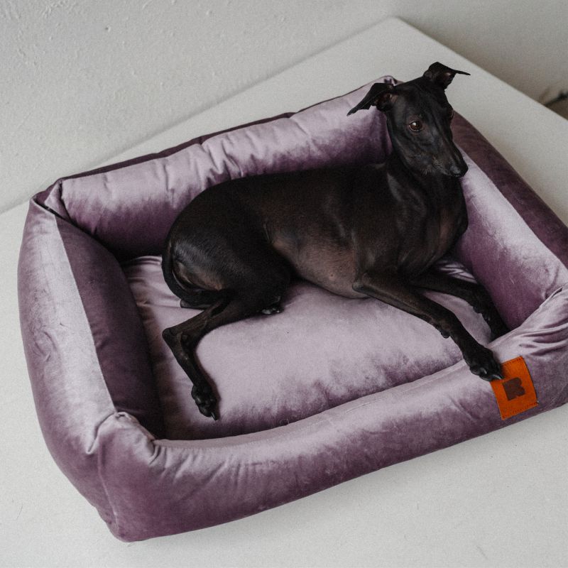 REDANT zamatový dog bed VELVET fialový - Size: S