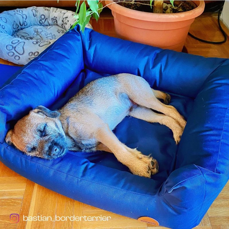 REDANT dog bed RETRO green stripes - Size: S