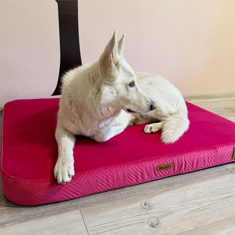 REDANT orthopedic dog bed with memory foam ORTHOPEDIC VELVET cyclamen - Size: S, Type of mattress: S pamäťovou penou