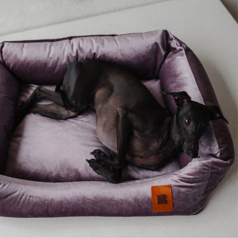 REDANT náhradná obliečka na pelech VELVET bordová - Veľkosť: XL