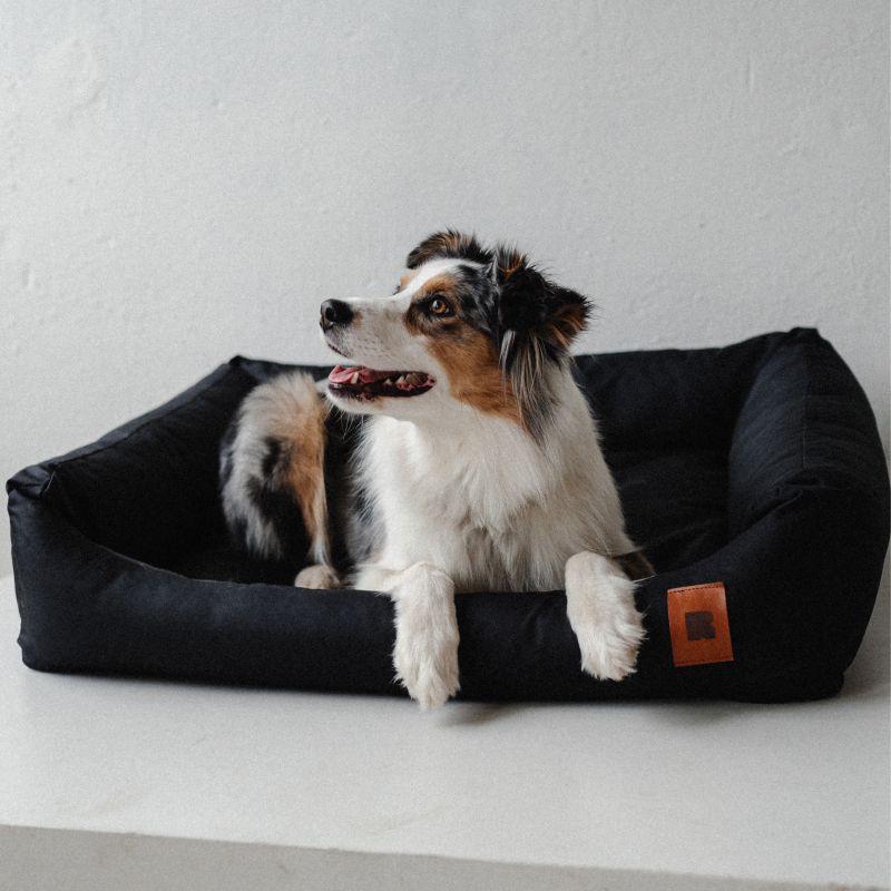 REDANT waterproof dog bed CLASSIC fialový - Size: M