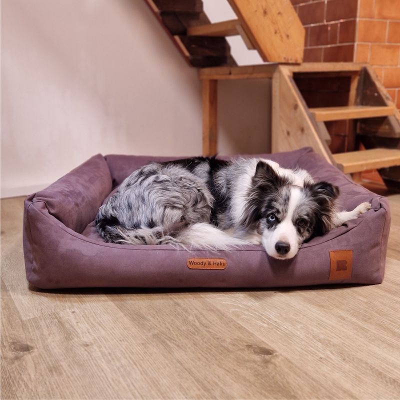 REDANT dog bed with memory foam DELUXE purple - Size: L