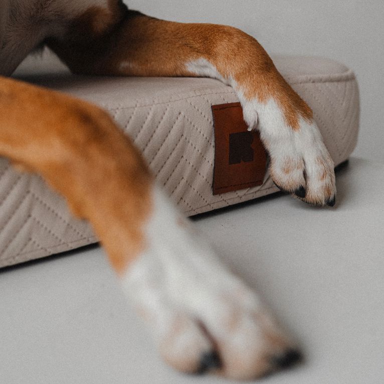 REDANT náhradní povlak na ortopedický pelíšek ORTHOPEDIC VELVET krémový - Velikost: L