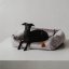 REDANT zamatový dog bed VELVET sivý - Size: M